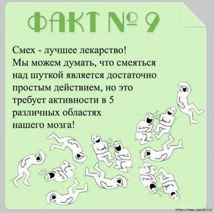 Ученые о мозге человека. Интересные факты о мозге. Интересные факты. Интересные факты о мозге человека. Интересные факты о головном мозге.