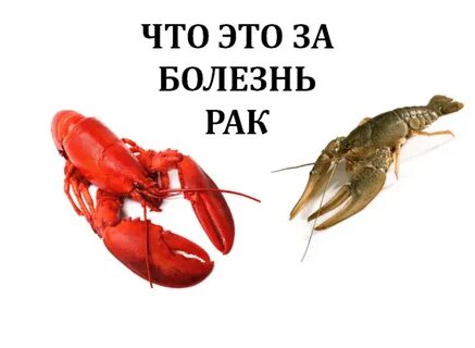 Рак женится