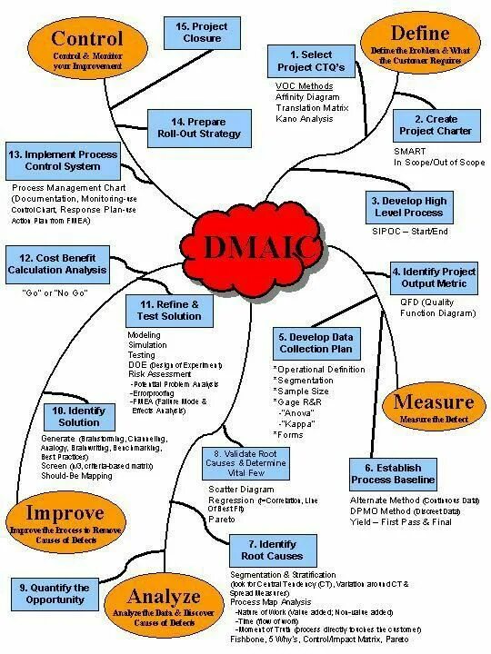 Project Management. Project Management for Dummies. Data collection Plan. Customer data collection.