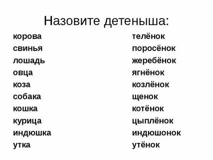 Имя цыпленка