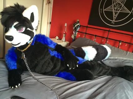 pin by furryace on fursuit in 2020 fursuit furry furry fan furry suit.