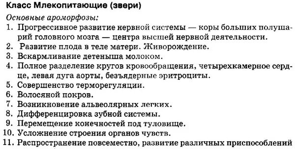 Какие ароморфозы в строении. Ароморфозы млекопитающих. основные ароморфозы млекопитающих. основные ароморфозы класса млекопитающие. ароморфозы млекопитающих егэ.