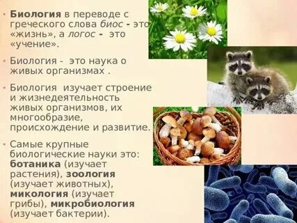 Тип 10 2956 биология 5 класс