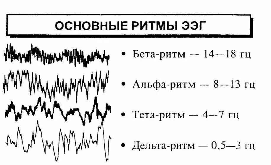 Изменения биоэлектрической активности мозга. Основные ритмы ЭЭГ головного мозга. Основной ритм ЭЭГ. Альфа-активность мозга на ЭЭГ норма. Бета волны на ЭЭГ частота.