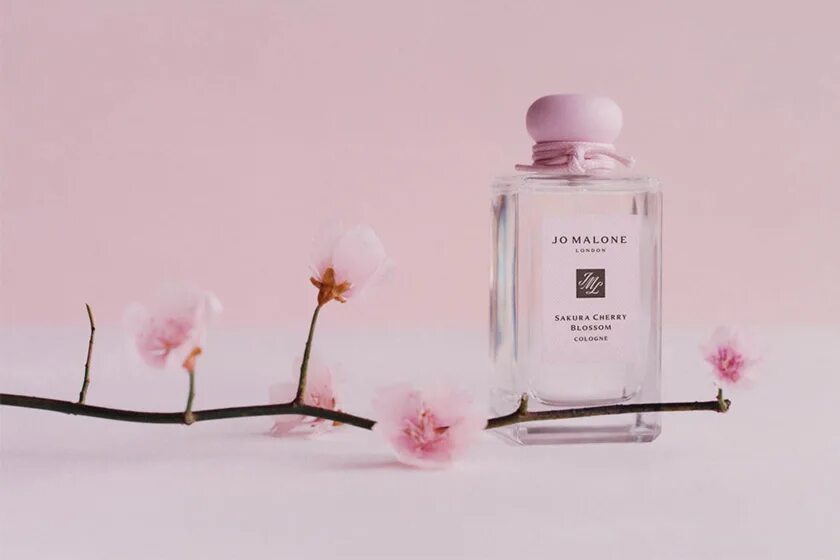 Джо Малон Сакура черри блоссом. Jo Malone Sakura Cherry Blossom 2020. Духи Джо Малон Сакура. Джо Малон Сакура и вишня. Cherry blossom отзывы