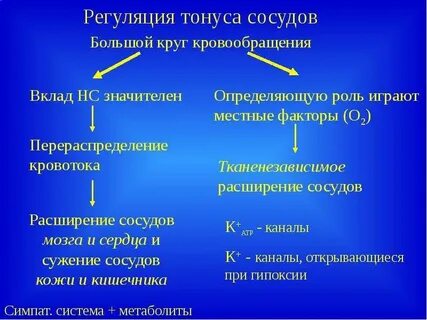 Регуляция тонуса