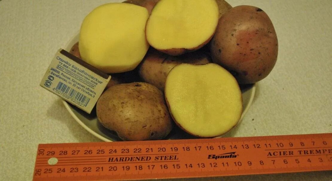 Беллароза картофель характеристика отзывы вкусовые. Сорт картофеля Ароза. Картофель сорт Днепрянка. Картофель Пикассо. Сорт картофеля Тулеевский.