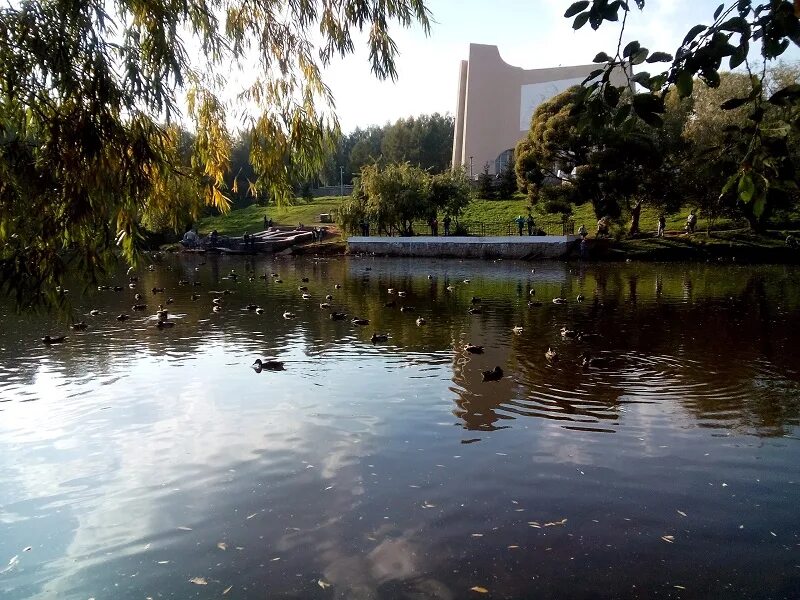 парк им. город киров диорама. парк имени кирова киров нижний пруд. пруды города кирова.