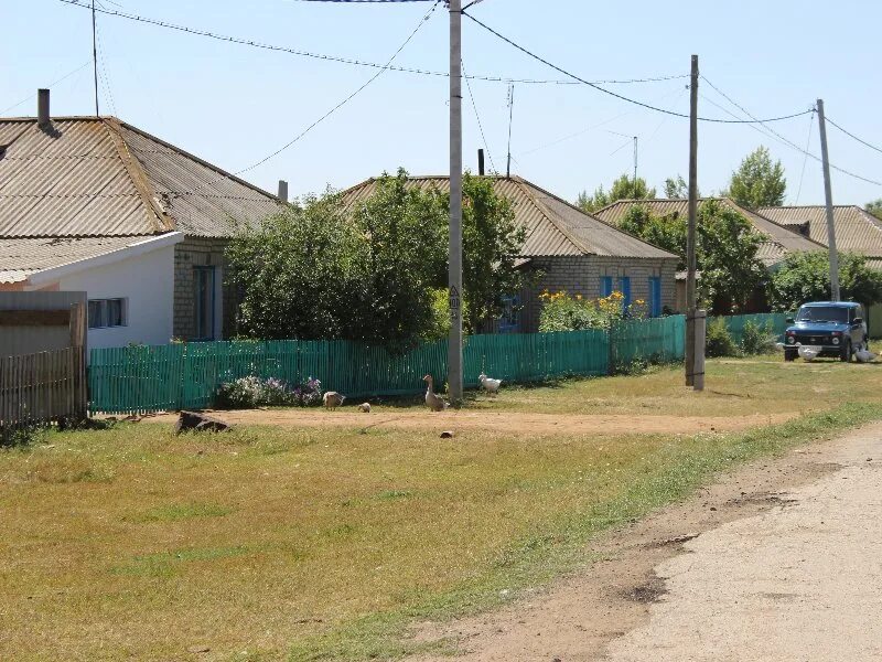 Село дмитриевка новоузенский район саратовская область. Поселок основной Новоузенского района Саратовской области. Саратовская область Самойловский район село Песчанка. Хутор Шукеев Новоузенского района Саратовской области. Дмитриевка Саратовская область Новоузенский район.