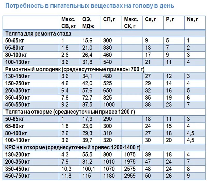 Рацион для ремонтного молодняка КРС. Нормы кормления молодняка КРС. Рацион кормления ремонтного молодняка КРС. Нормы кормления молодняка КРС на откорме таблица. Какие нормы у коровы