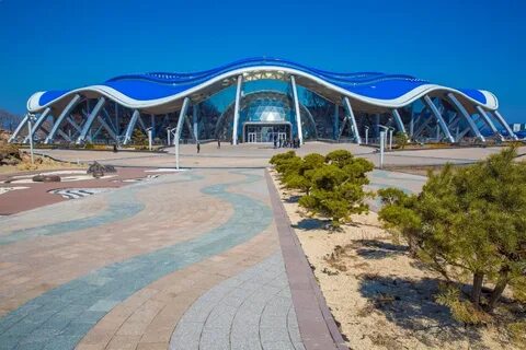 Океанариум во владивостоке на острове русском