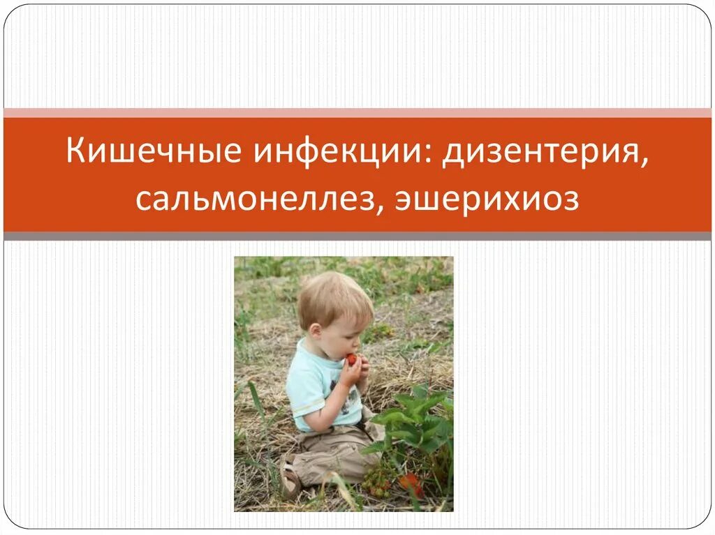 Эшерихиоз распространенность. Эшерихиоз презентация. Холероподобный эшерихиоз. Возбудитель эшерихиоза. Эшерихиоз презентация.