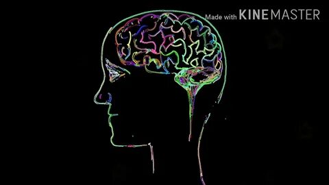 Human behaviour