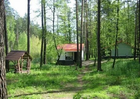 Ежи турбаза воронеж