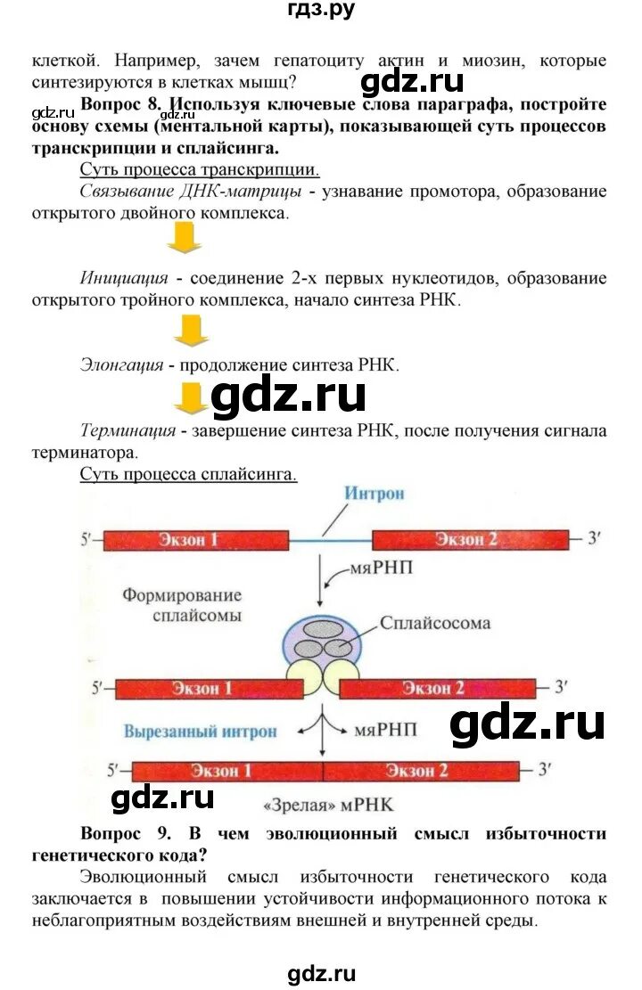 Используя ключевые слова параграфа