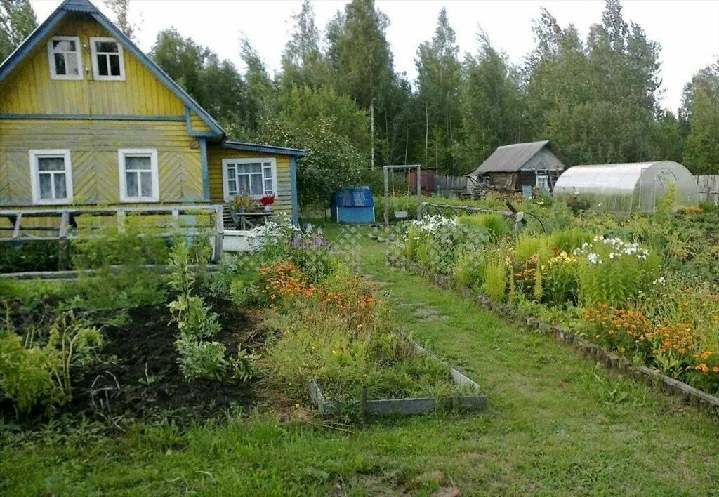 Садовое общество купить. Садовый участок СНТ. Дача СНТ Восток 2. Дача в Вологодской области. Дача Комела Вологда.