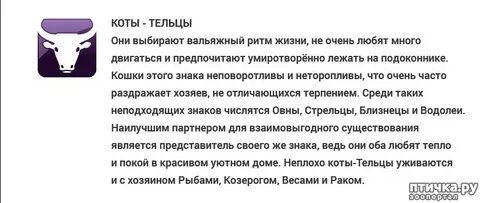 Обидела мужчину тельца