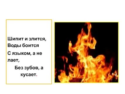 Лиса лает а кто кусает