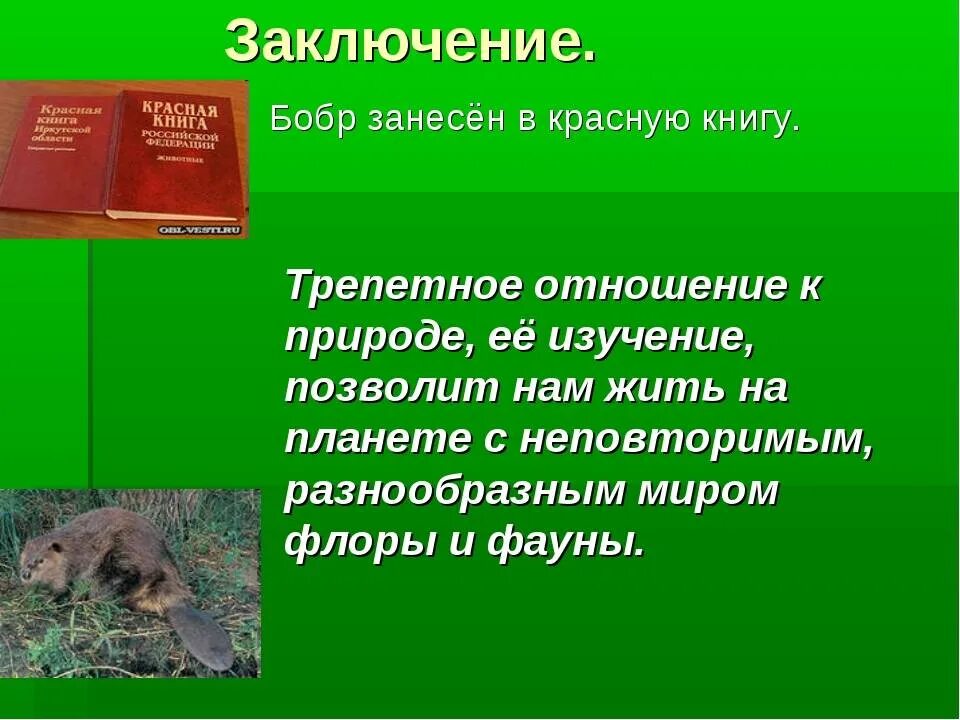 Штрафы красная книга