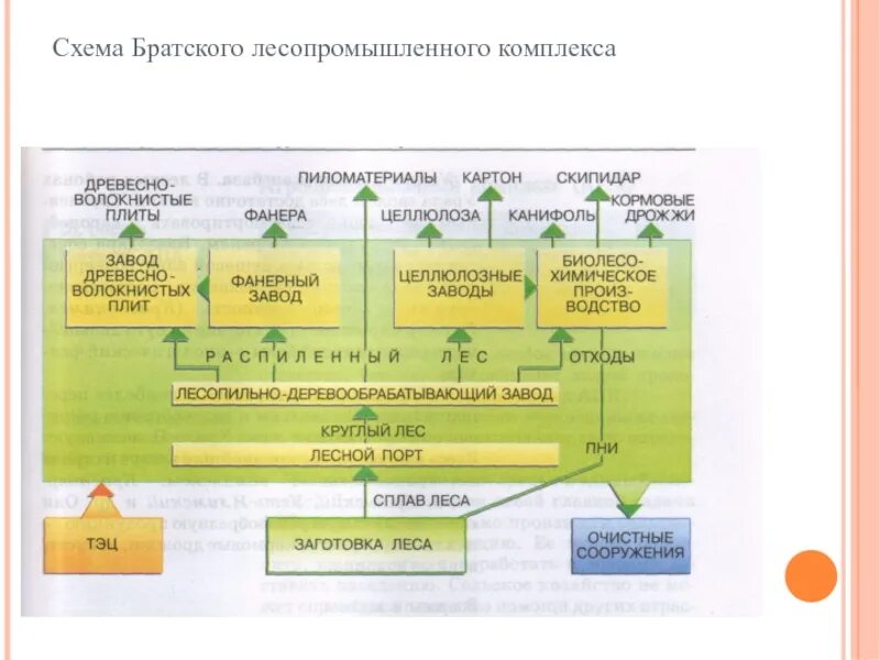 Состав и значение лесопромышленного комплекса. Структура лесной промышленности. География 9 лесопромышленный комплекс. Лесная промышленность схема. Лесная промышленность лесопромышленные комплексы.