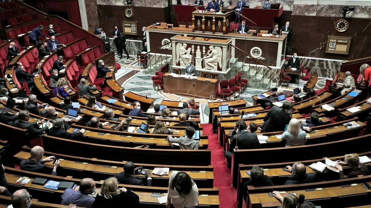 Как называется парламент нашей страны. Парламент Франции национальное собрание. Нижняя палата парламента Франции. Двухпалатный парламент Франции. Четырехпалатный парламент во Франции.
