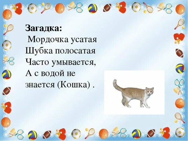 Часто умывается а с водой не знается. Усатый полосатый загадка. Мордочка усатая шубка полосатая часто умывается а с водой не знается. Загадка часто умывается а с водой не знается. Загадка про кошку Усатый полосатый.