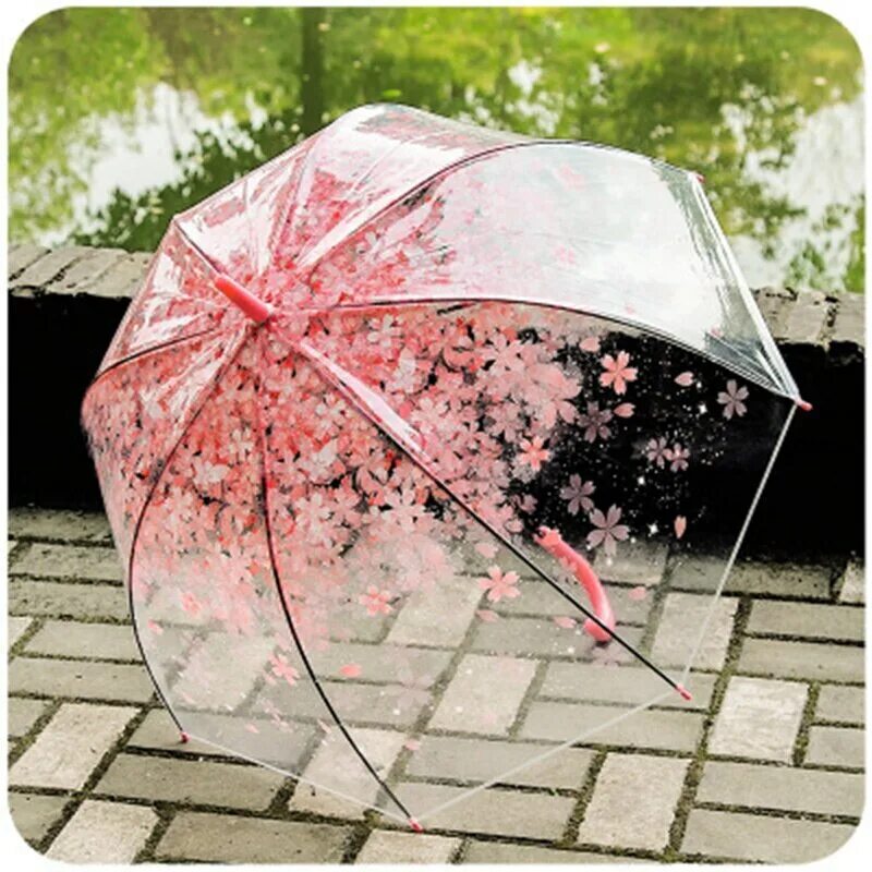 Купить прозрачный зонт. Зонт Амбрелла прозрачный. Прозрачный зонтик. Красивые зонтики. Шикарный зонт.