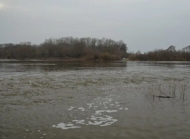 Уровень воды Ока Кашира. Уровень воды в Оке Кашира. Уровень воды Ока. Уровень реки Ока в г Касимове.