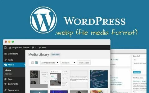 Wp files