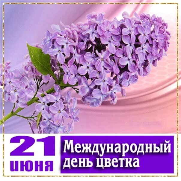 Когда день цветов. Международный день цветов. всемирный день цветка. международный день цветка поздравления. международный день цветка 21 июня.