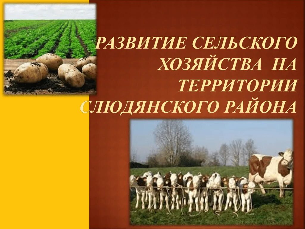 Доли в крестьянском фермерском хозяйстве