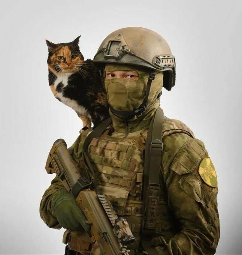 Спец коты. Коты в форме спецназа. кот спецназовец. боевой кот.