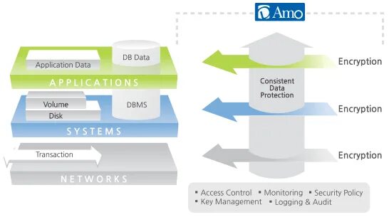 Database encryption. Encryption банка со слизью. миколог encryption. file data access protect.