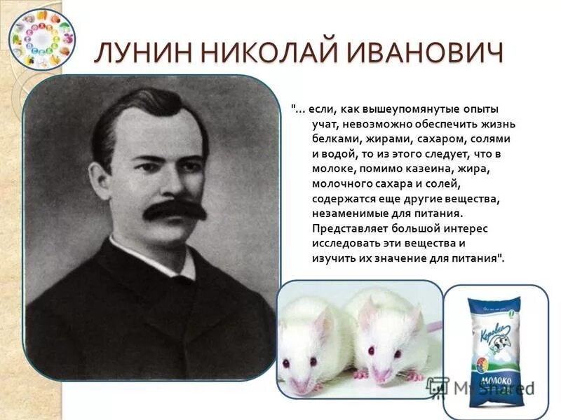 В каком веке лунин открыл витамины. Лунин витамины.