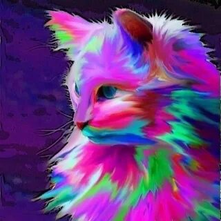 Яркие коты картинки