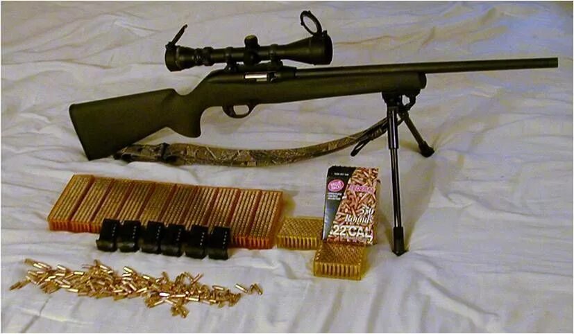 22 long rifle. 22 лонг райфл. 22 long rifle оружие. снайперская винтовка 22 калибра. снайперская винтовка 22lr.