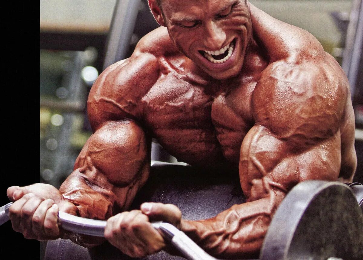 Лес миллс тренировки. Body pump для похудения. Современные оздоровительные системы. Современные популярные системы физических упражнений. Les mills боди памп.