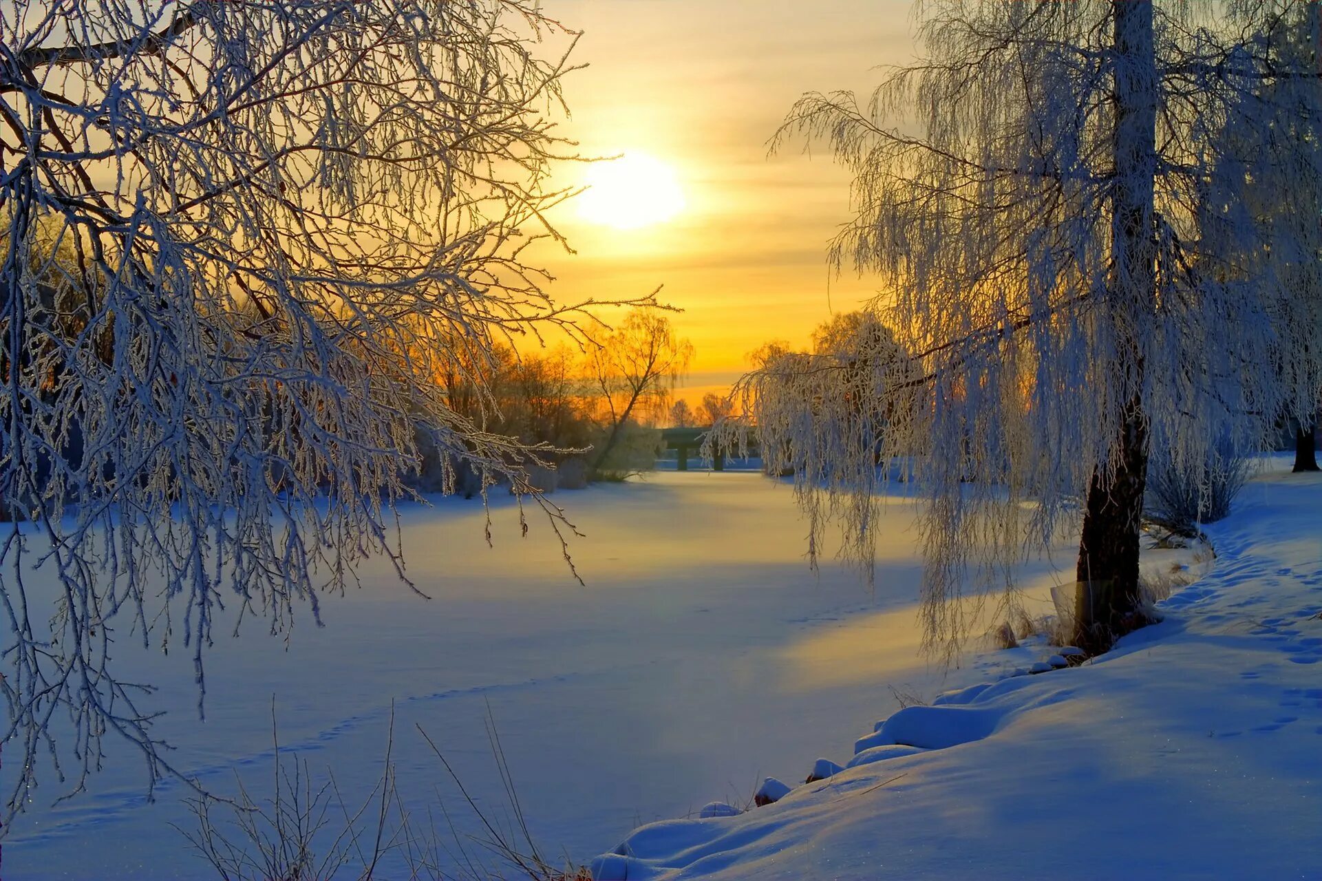 Зимнее утро. Зимний пейзаж. Зимняя природа. Пейзажи природы зима. Солнечный день январь