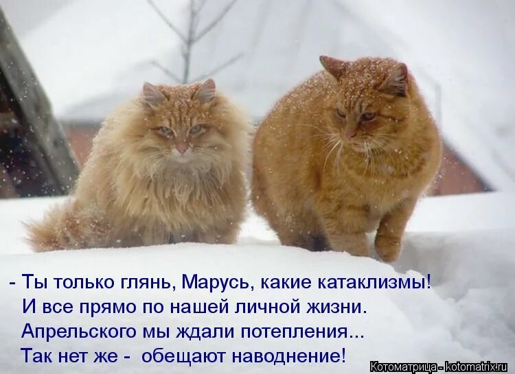 Когда уже потеплеет. Потепление скоро. скоро потеплеет. потеплело картинки прикольные. ура потеплело.