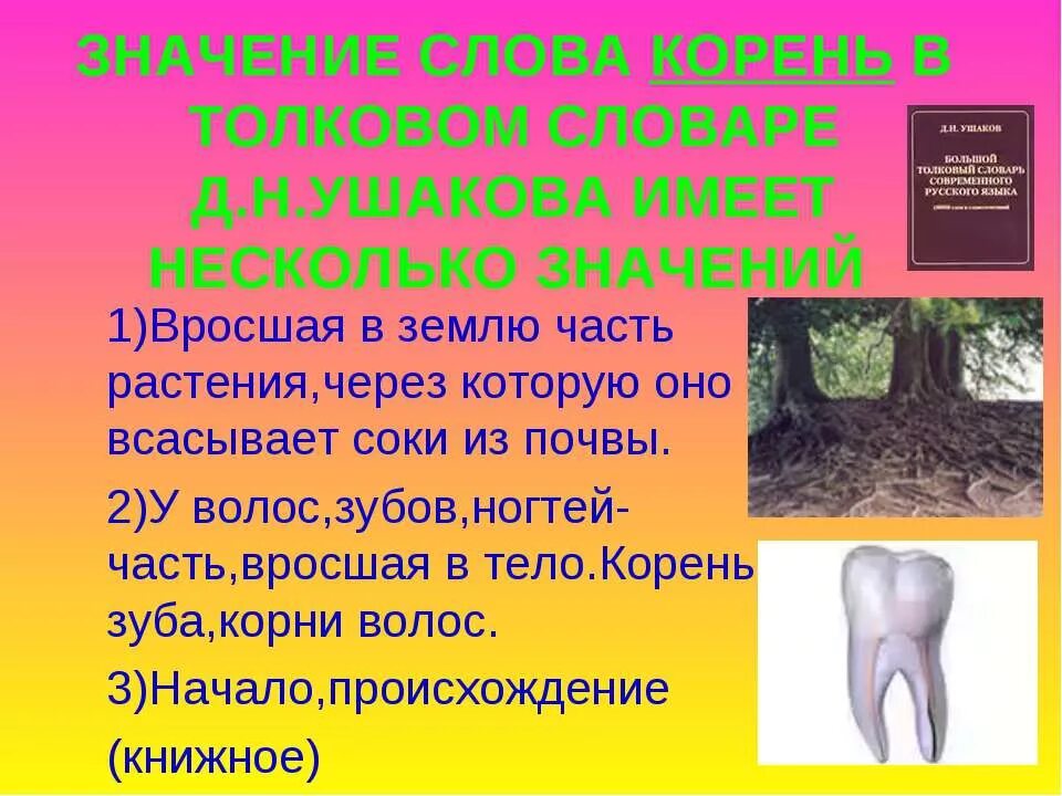 Определите лексическое значение слова корень. Корни с лексическим значением. Значение слова корень. Лексическое значение слова корень. Многозначность слова корень.