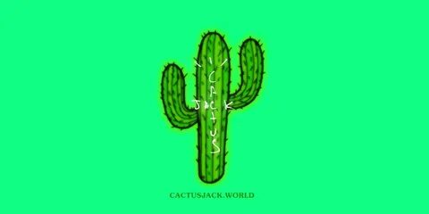Cactus travis