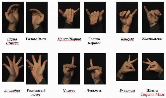 Говорить руками как называется. Мудры и хасты в индийском танце. язык глухонемых. жесты символы. знаки руками название.