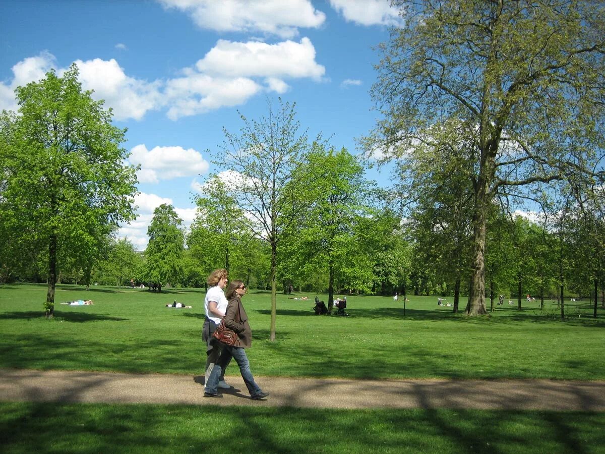 He saw in the park. Парк сэмплы. Stroll in the Park. Фото go to the Park. Walk in the Park.