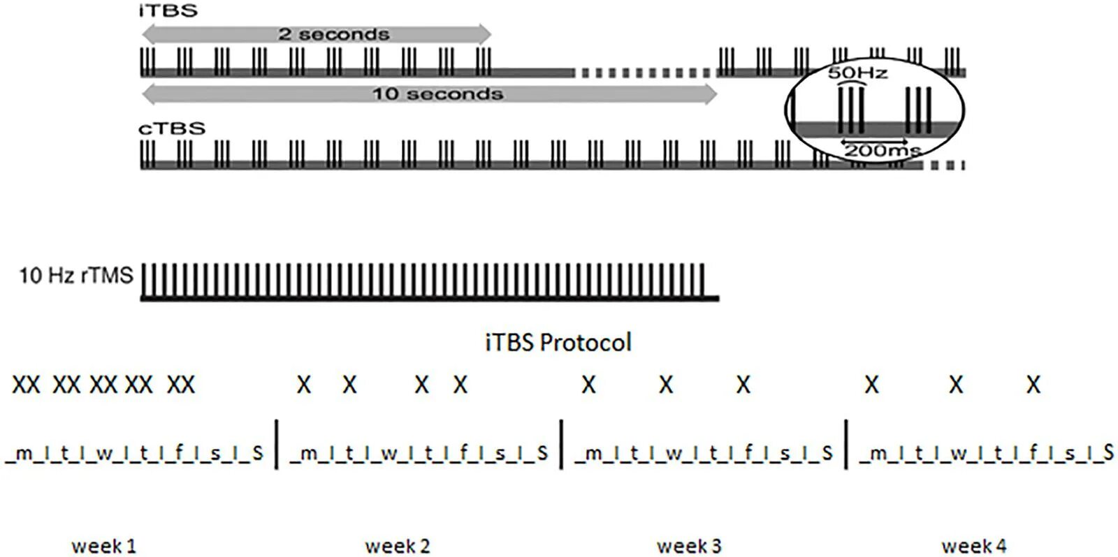 Протокол tbs. Протокол tms. theta-burst ltp.