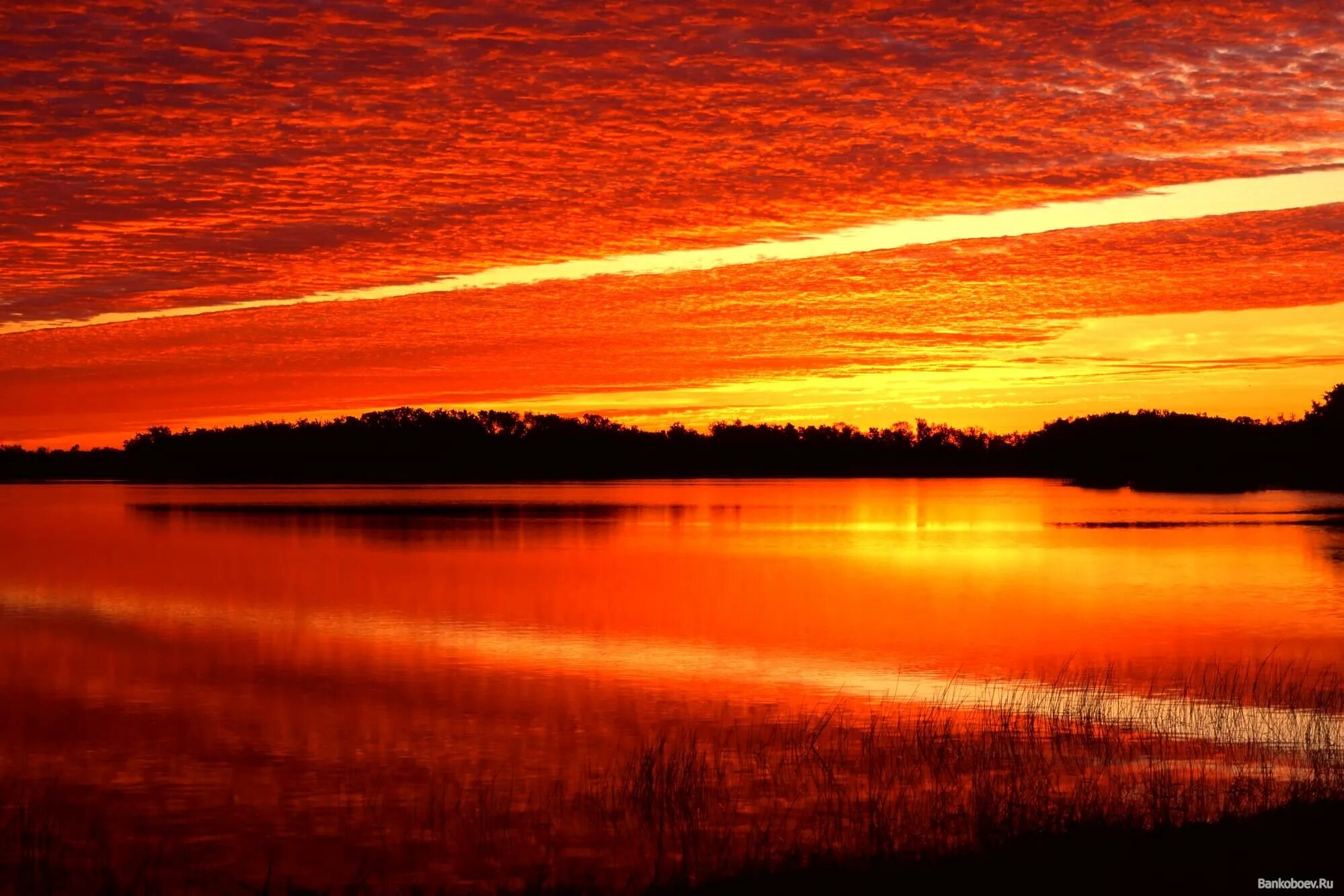 Озеро красный Восход Рязань. Алый закат. Природа закат. Красный закат.