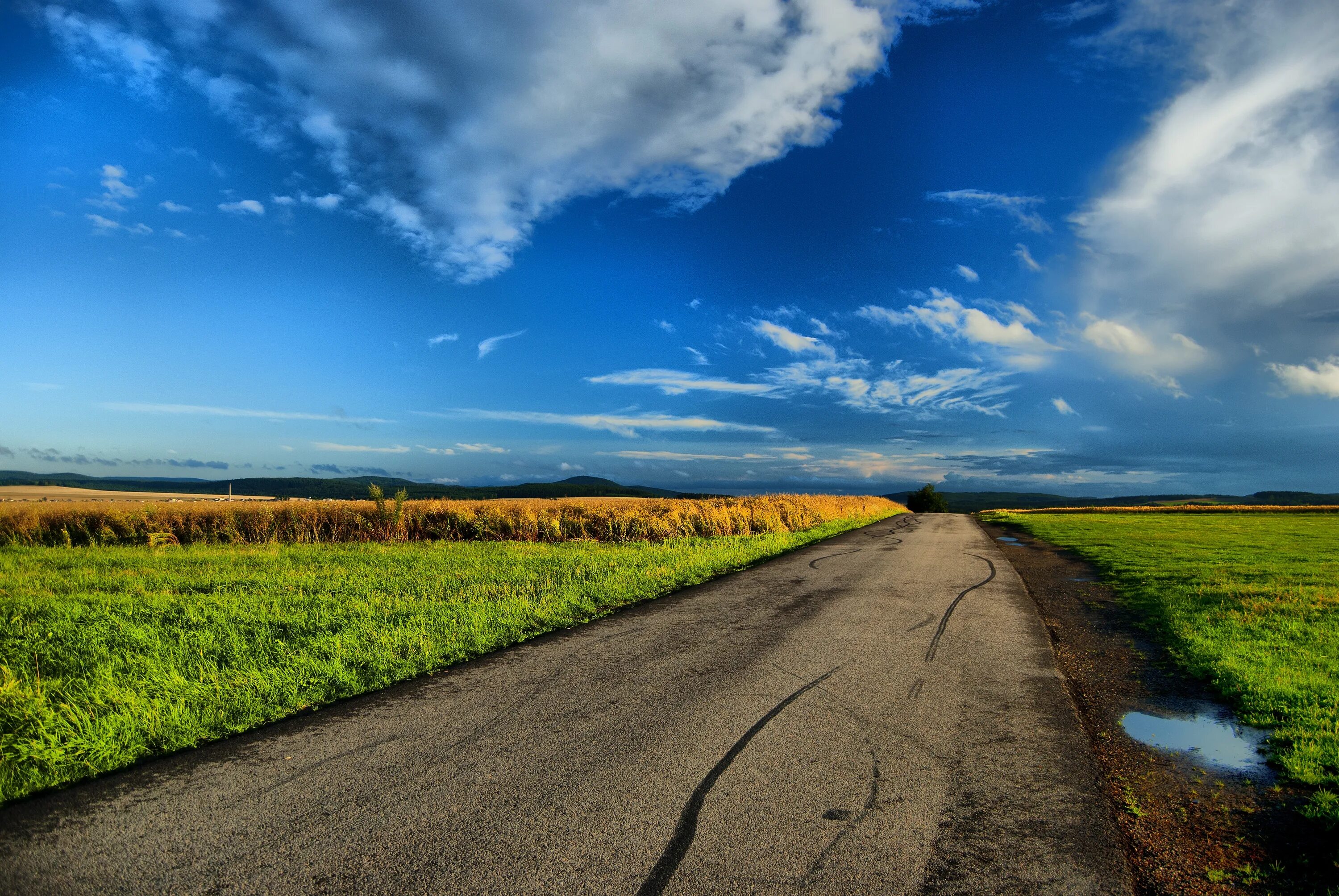 Пейзажи природы. Красивое поле. Трава поле. Зеленое поле. Красивая местность.