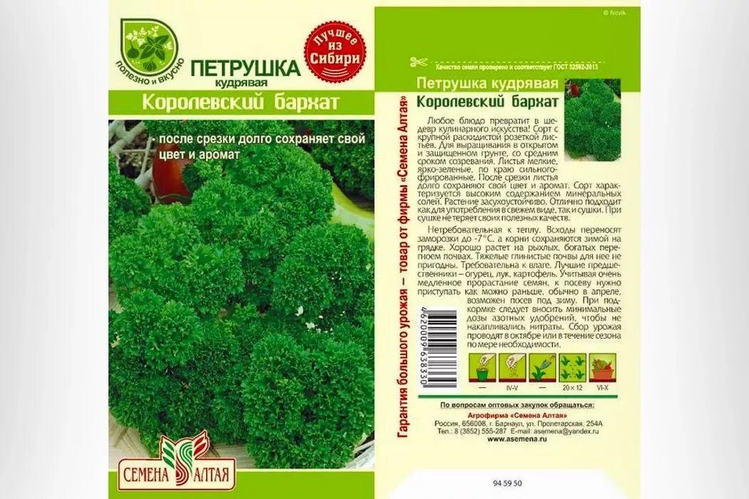 Какие сорта петрушки. Петрушка королевский бархат кудрявая 2г (семена алтая). петрушка кудрявая. кудрявая зелень сорта петрушки. петрушка сорта семена.