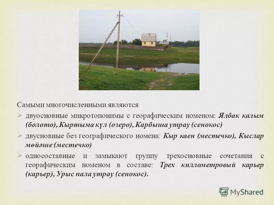 Самые многочисленные языковые семьи россии. Самая многочисленная группа животных. Саме многочисленные народы росси. Самой многочисленной является. Самый многочисленный народ в мире.