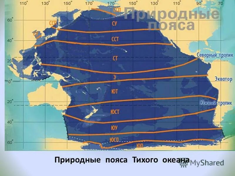 Плотность тихого океана. Пояса Тихого океана. Климатические пояса Тихого океана. Климатическая карта Тихого океана. Природные пояса.