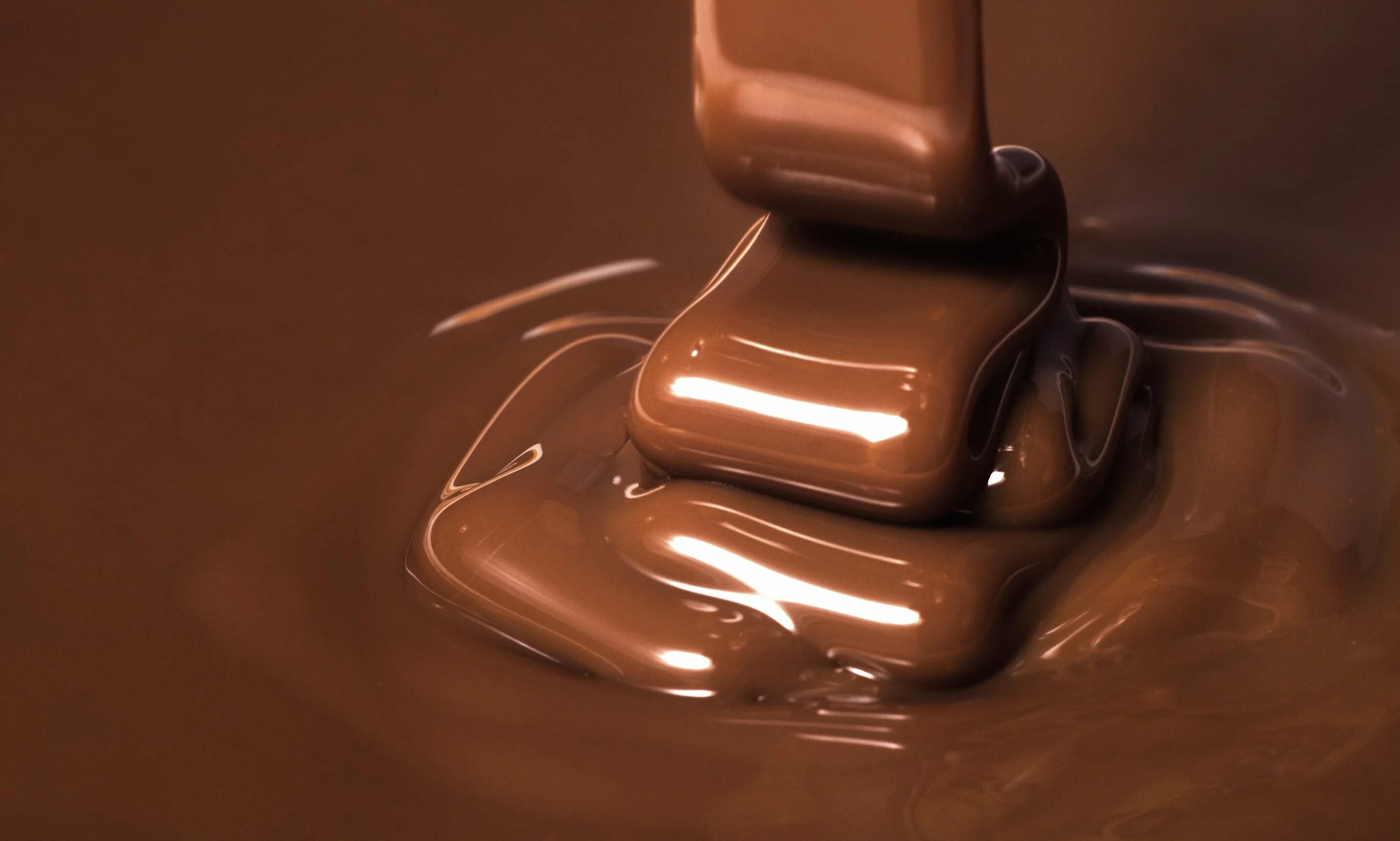 Chocolate is extracted from the